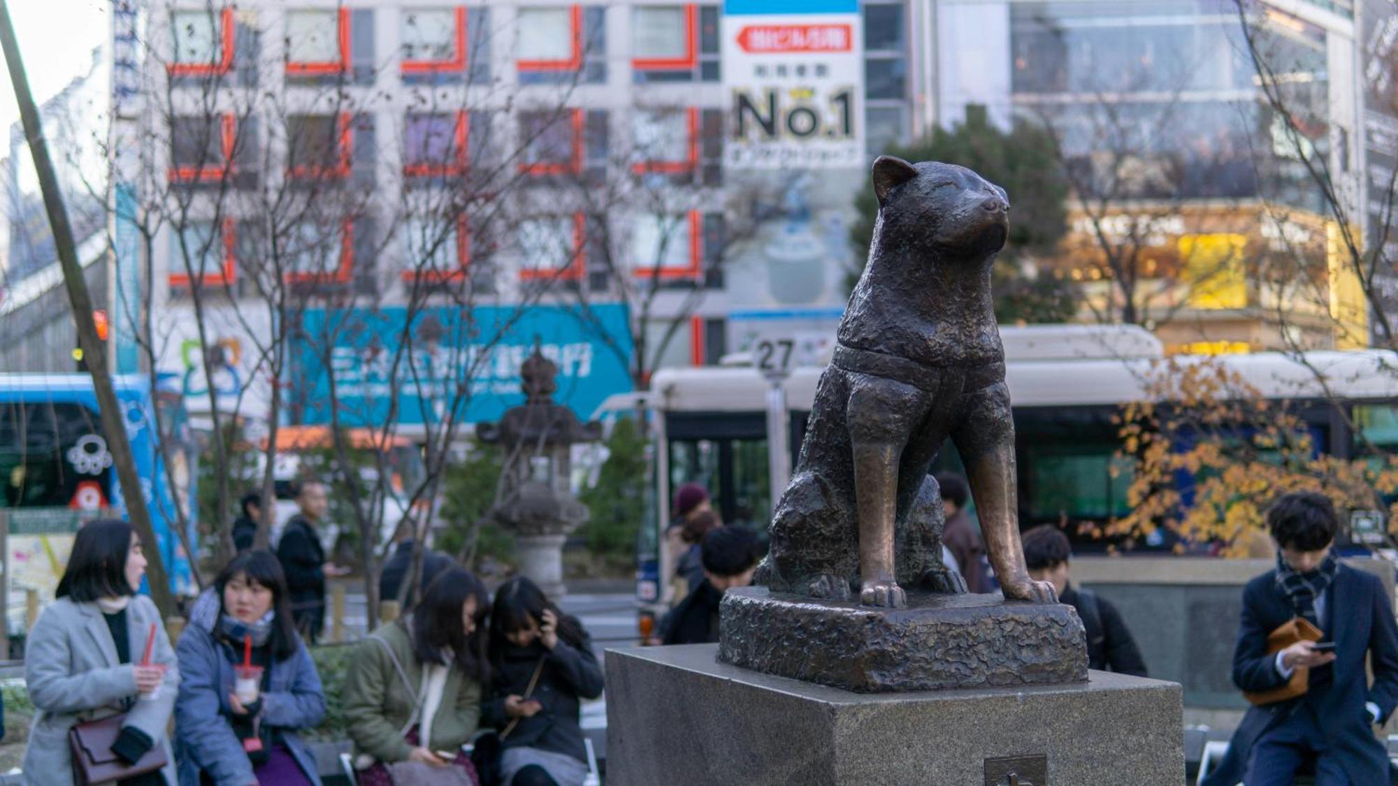 Illi Mani Shibuya Hotel โตเกียว ภายนอก รูปภาพ