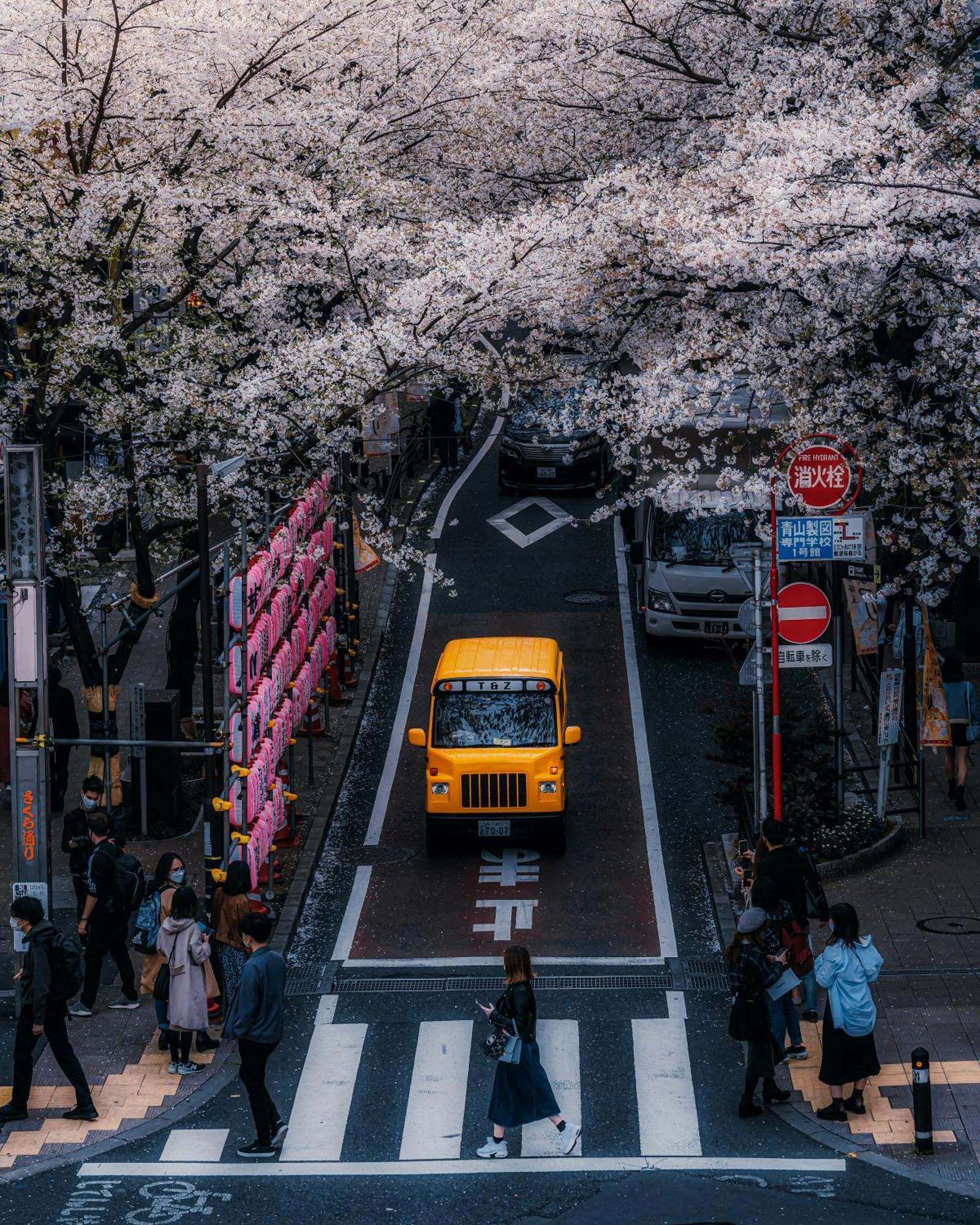 Illi Mani Shibuya Hotel โตเกียว ภายนอก รูปภาพ